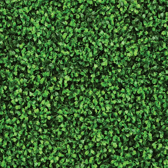 Hedge Wall backdrop: dense boxwood green foliage, wall to wall