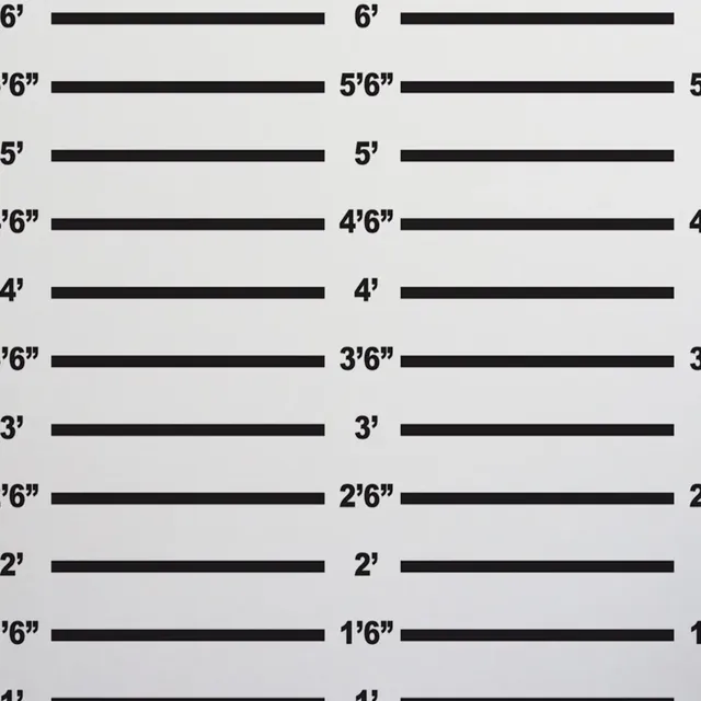 Police Line Up backdrop: black police height chart with white measurement lines